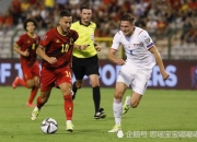 开云体育APP下载-波那自由国横扫比利时，白俄罗斯神奇力克德国淘汰对手的简单介绍