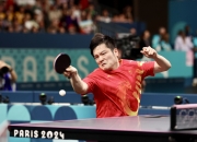 开云体育-奥地利乒乓球队强势中国乒乓球队，樊振东高光表现的简单介绍