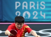 开云体育在线-德国乒乓球队碾压韩国乒乓球队，樊振东高光表现的简单介绍