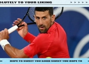 开云体育入口-法国网球队碾压德国网球队，德约科维奇统治全场的简单介绍