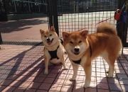 开云体育入口-跨界竞技场，浙江队强势晋级湖人模式，东契奇式节奏掌控启示录