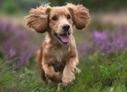 开云平台-萨卡终场闪耀，瑞士绝境逢生—一场定义巨星价值的最后时刻