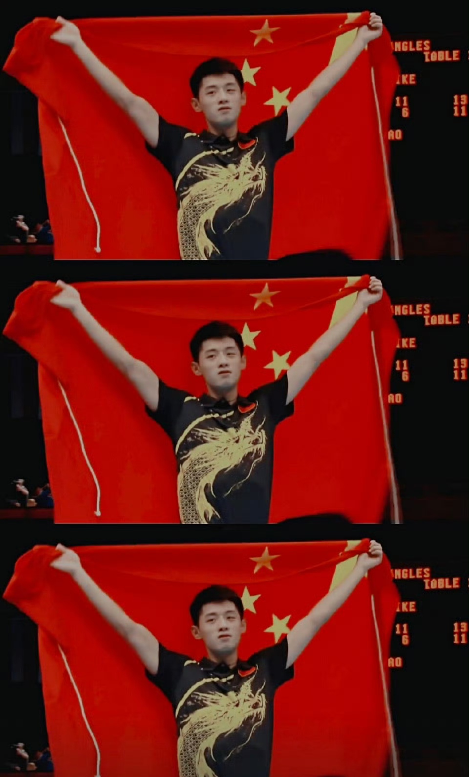 波兰乒乓球队翻盘法国乒乓球队，张继科制霸全场的简单介绍