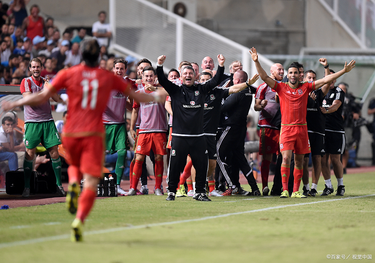 法国足球队在国际友谊赛中取得胜利 法国足球队在国际友谊赛中取得胜利
