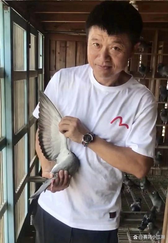 关于福建队夺得比赛胜利，实力不容小觑的信息