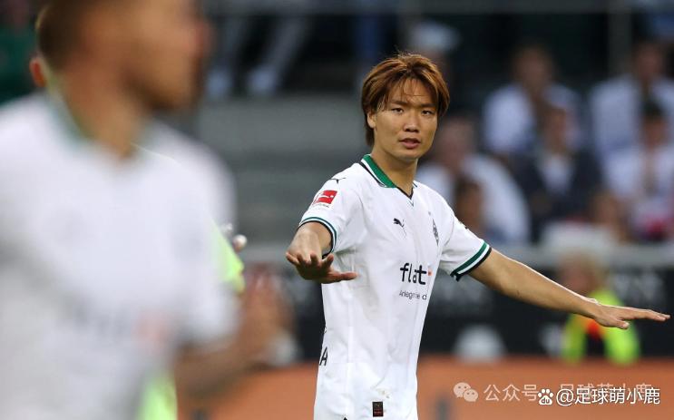 包含美因茨欲在客场挑战门兴格拉德巴赫的词条