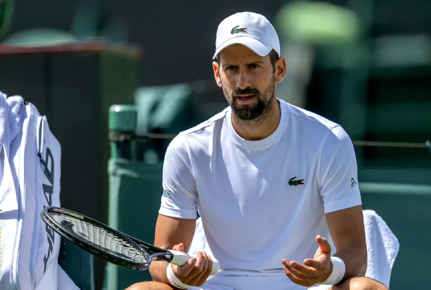 意大利网球队轻取日本网球队，德约科维奇打破历史纪录的简单介绍