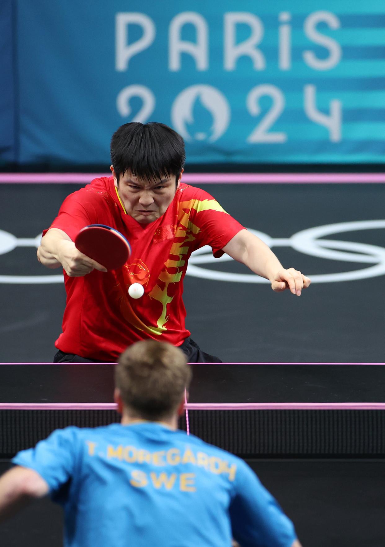 德国乒乓球队碾压韩国乒乓球队，樊振东高光表现的简单介绍