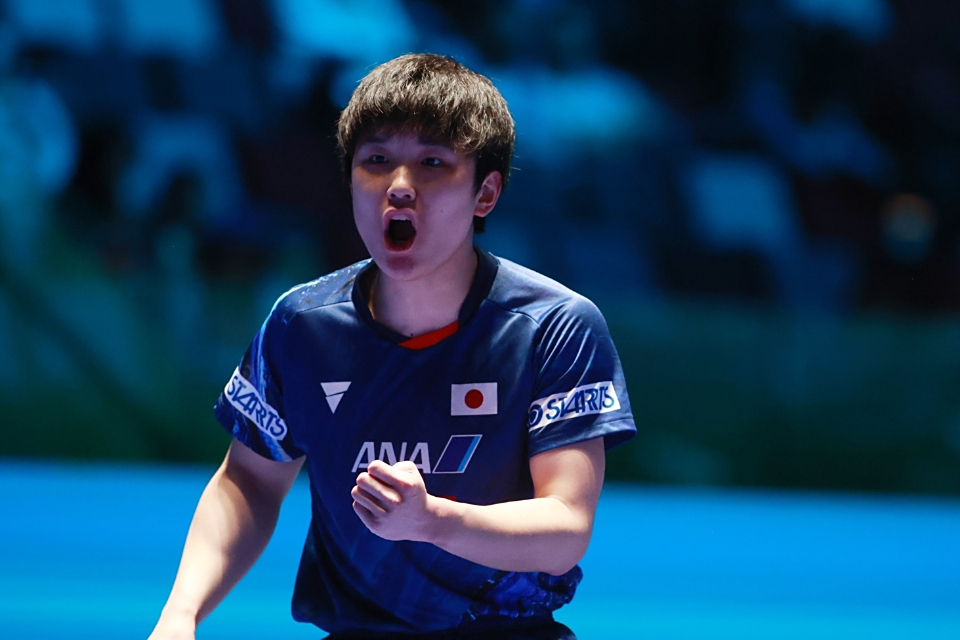 日本乒乓球队横扫英国乒乓球队，张本智和惊艳世界的简单介绍