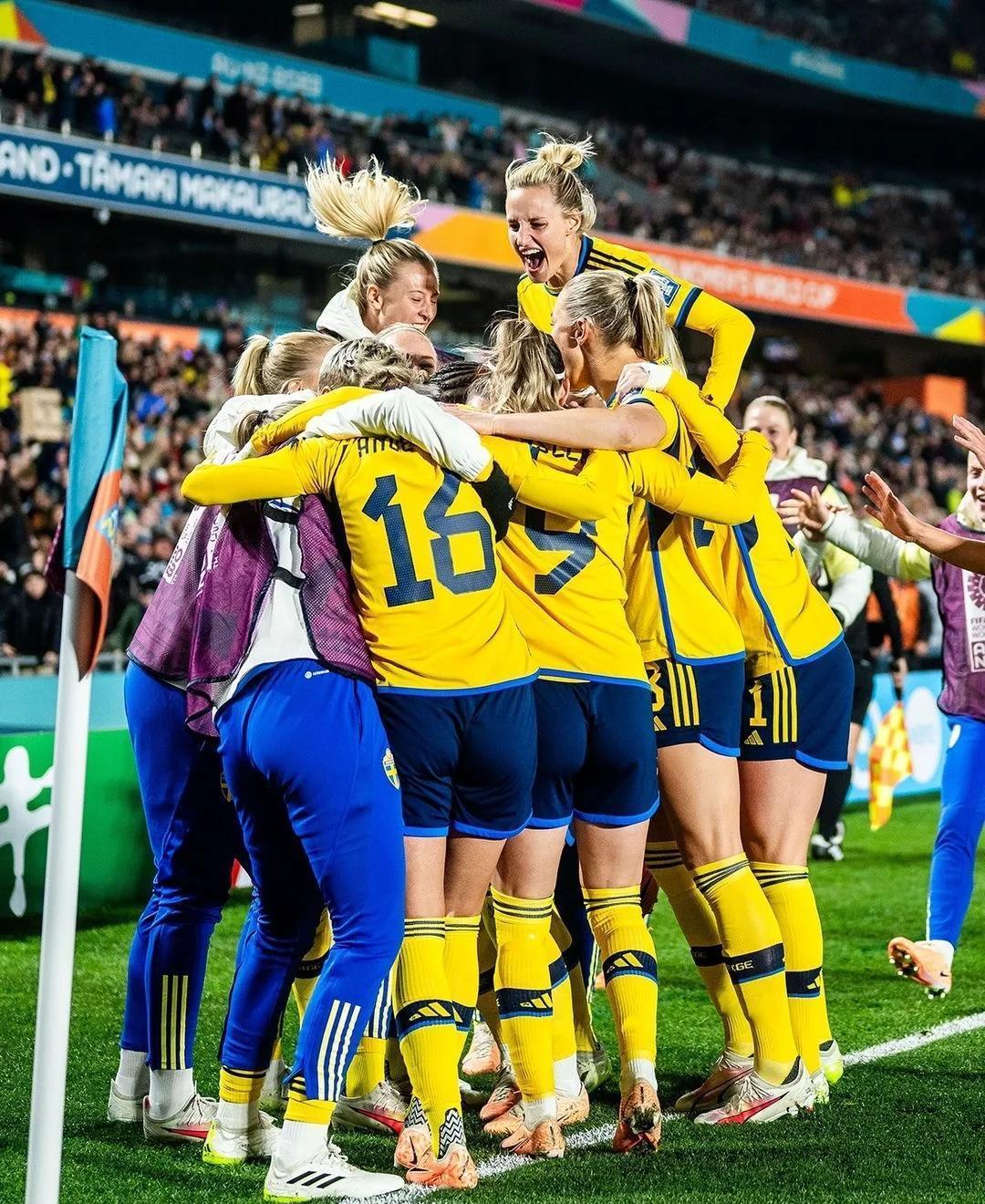 关于瑞典乒乓球队鏖战奥地利乒乓球队，波尔高光表现的信息