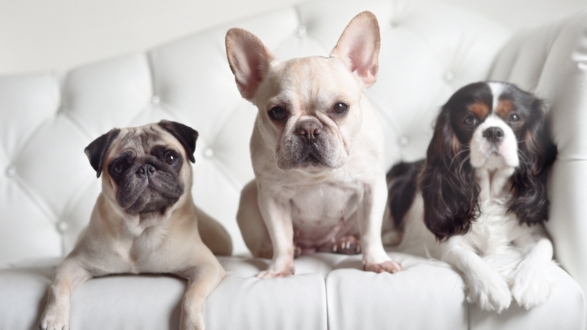 欧冠决赛之夜，克莱—对手完全无解的终结者